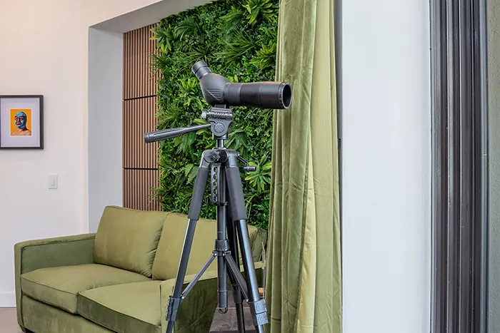 Telescope for dolphin watching beside the window at Rubi 208